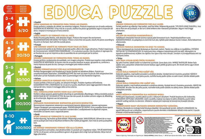 Educa Puzzles progressifs Frozen - Coffret de 4 puzzles (12, 16, 20 et 25 pièces) sous licence Disney