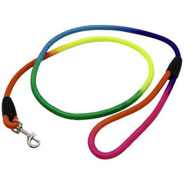 Ekomet Expositor de 15 Laisses pour Chien Multicolores