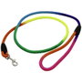 Ekomet Expositor de 15 Laisses pour Chien Multicolores