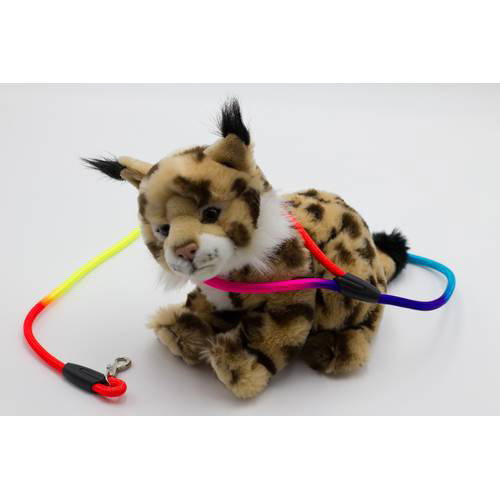 Ekomet Expositor de 15 Laisses pour Chien Multicolores