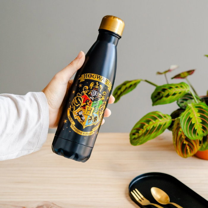ERIK Gourde isotherme en acier inoxidable 500ml Harry Potter Hogwarts avec bouchon étanche ERIK Gourde isotherme en acier inoxidable 500ml Harry Potter Hogwarts avec bouchon étanche