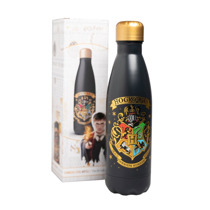 ERIK Gourde isotherme en acier inoxidable 500ml Harry Potter Hogwarts avec bouchon étanche ERIK Gourde isotherme en acier inoxidable 500ml Harry Potter Hogwarts avec bouchon étanche