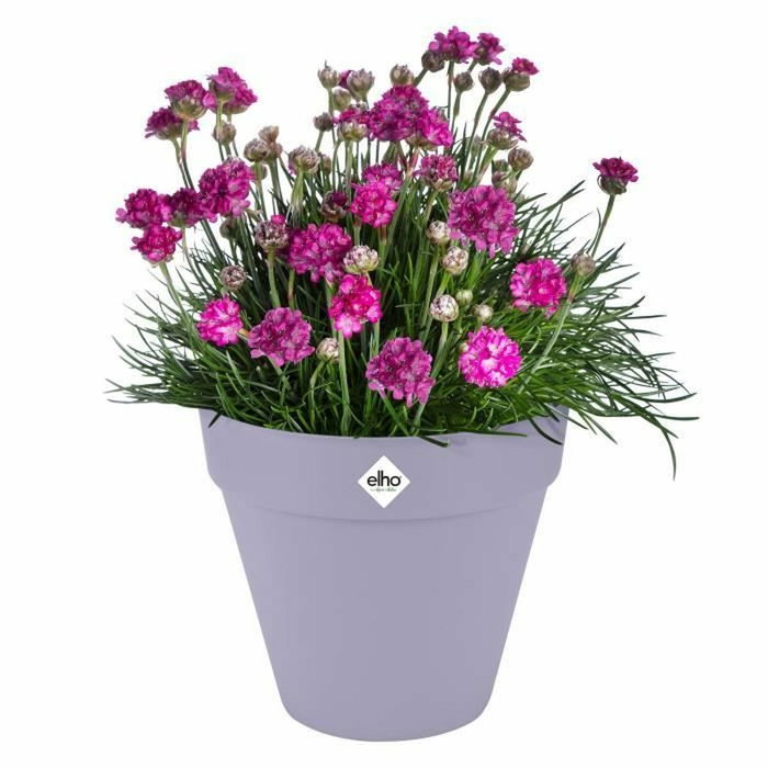 Elho Pot de fleurs Loft Urban Rond avec roues - Violet - Ø 38.5 x H 35 cm