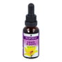 PLANTIS PROPOLINA Extrait de Propolis sans alcool 30 ml