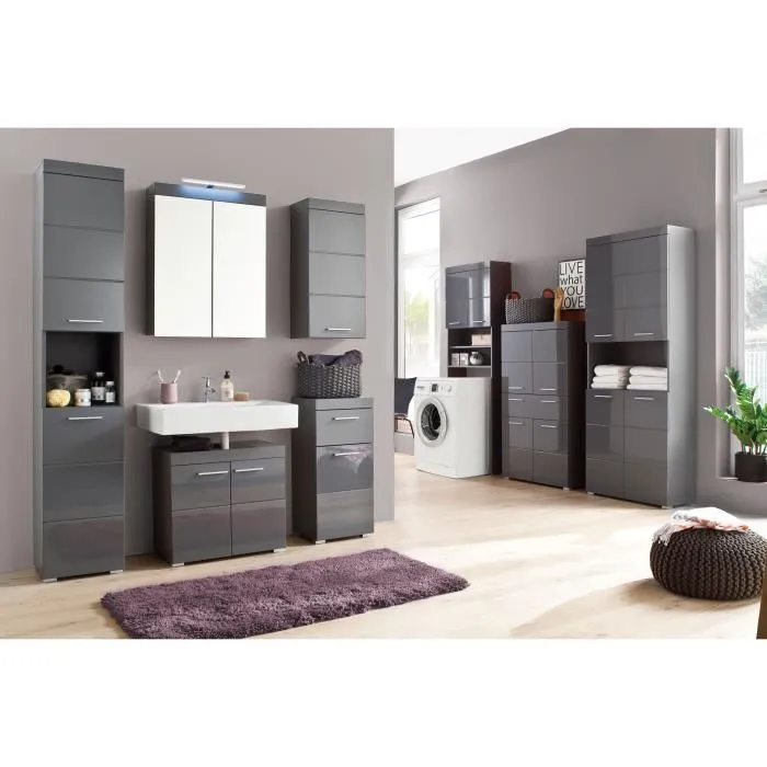 Trendteam Meuble de salle de bain suspendu avec 2 portes miroir, gris mat, 2 étagères réglables - L60 x P17 x H77 cm