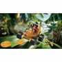 Playmobil Kart banane Funstars 71717