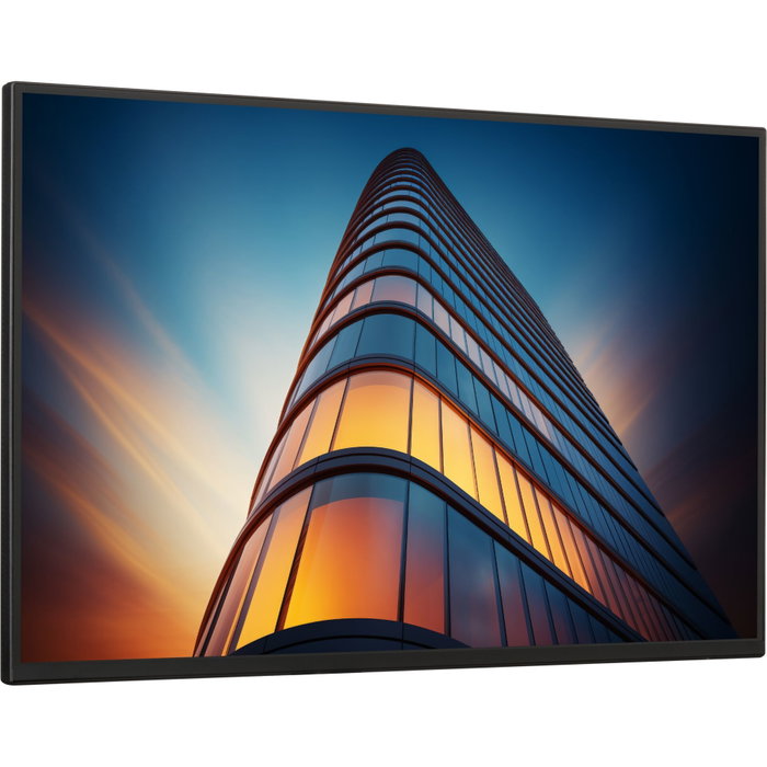 Dell P2425HE Moniteur 24 pouces Full HD 100Hz Noir