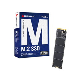 Biostar M760 SA122PMEC5 SSD Interne M.2 NVMe 512 Go 2280, Lecture jusqu'à 2800 Mo/s