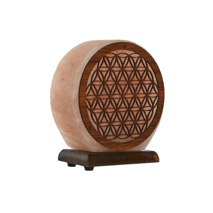 Lampe de bureau Home ESPRIT Marron Rose 15 W 220 V