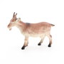 Tachan - Figurines d'animaux de la ferme - Blister de 6 pièces - Référence 7102 - Jouet éducatif pour enfants 3 ans et plus - Multilingue