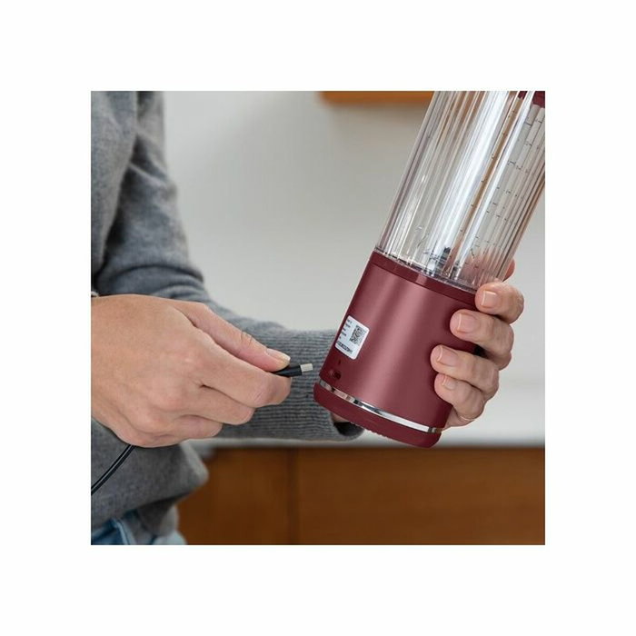 Ninja Blast Blender portable sans fil - Canneberge - 530 ml Ninja Blast Blender portable sans fil - Canneberge - 530 ml