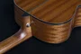 Takamine Guitare Electro-Acoustique GN30 Dreadnought Brown Sunburst