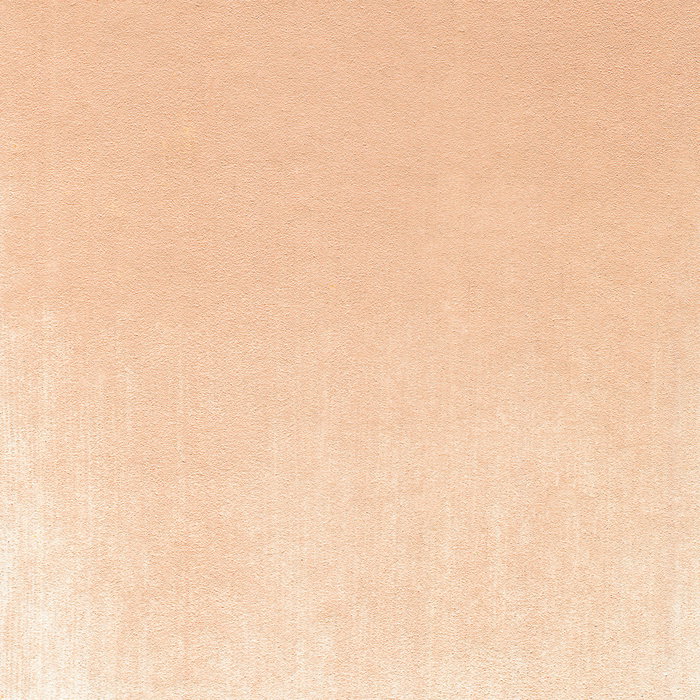 Panpastel 380.8 Oxyde de fer rouge teinté Panpastel 380.8 Oxyde de fer rouge teinté