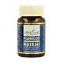 Estado Puro Agaricus Reishi 40 capsules végétales