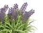 Ibergarden Jardinera en ciment lavande assortis 31x20x16 cm (Set de 16)