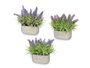 Ibergarden Jardinera en ciment lavande assortis 31x20x16 cm (Set de 16)
