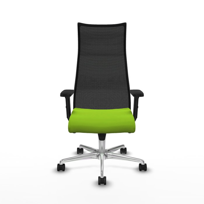 Piqueras y Crespo B2D086N Chaise de Bureau Pistache et Noir