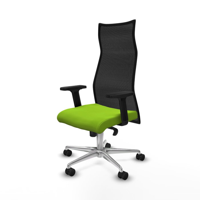 Piqueras y Crespo B2D086N Chaise de Bureau Pistache et Noir
