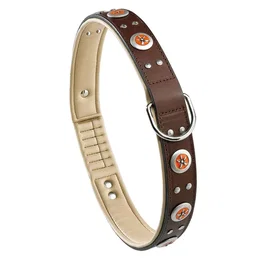 Ferplast Collier Giotto C35 Marron