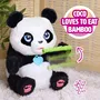 Furreal Friends - Peluche interactive Coco le panda, réagit avec plus de 60 sons et mouvements, biberon inclus, pour enfant dès 4 ans