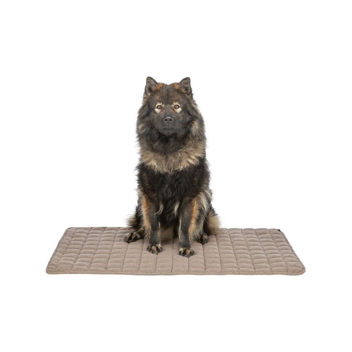 Matelas Trixie Marron 100 × 70 CM Chien