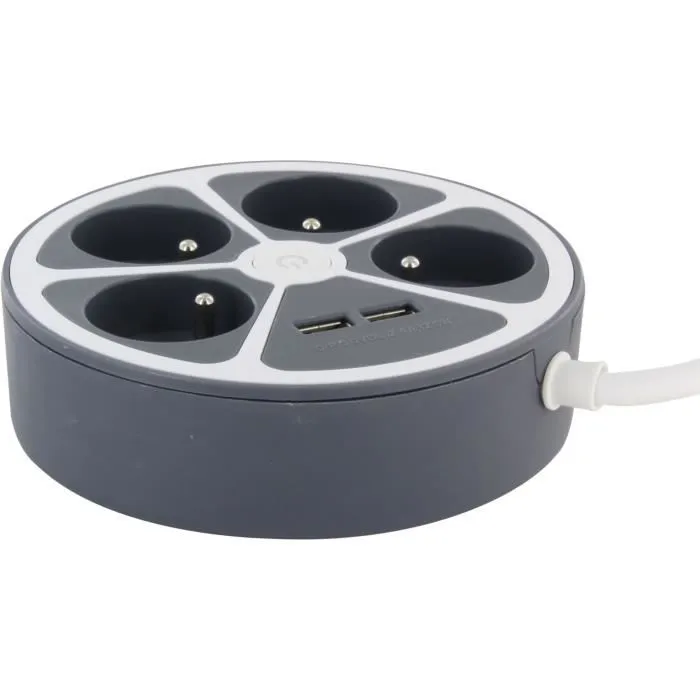 Chacon Bloc Prise 4 Prises 16A + 2 Ports USB-1, Câble 1,5 m, Interrupteur, 3680W Max, Gris - Version FR