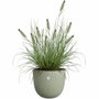 ELHO Sereh Rond 40 Vert Ø 39 x H 33 cm