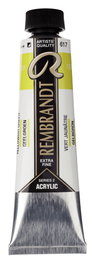 Rembrandt Peinture Acrylique Vert Jaunâtre 617 (40 ml)
