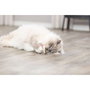 Jouet pour chats Trixie