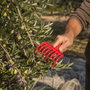 SATURNIA Râteau en plastique pour ramassage des olives avec trou