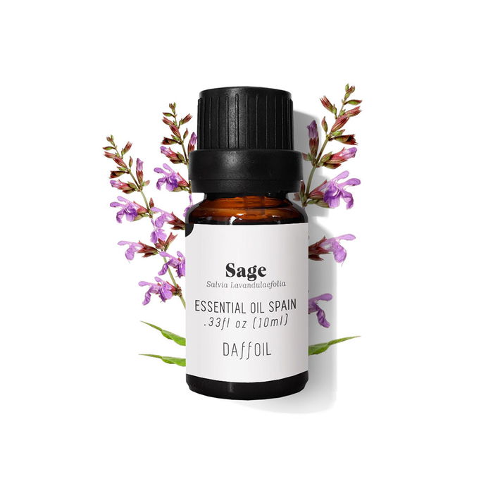 Daffoil Huile Essentielle de Sauge 10 ml - Naturelle, Biologique, Aromathérapie, Bien-être, Peau, Cheveux Daffoil Huile Essentielle de Sauge 10 ml - Naturelle, Biologique, Aromathérapie, Bien-être, Peau, Cheveux