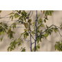 Home ESPRIT Cadre Marron Vert Oriental Vase 80 x 3,5 x 160 cm (2 Unités)