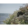 Olympus 8x42 EXPS I