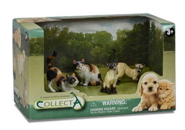 COLLECTA Set de 4 chats de tailles différentes en boîte ouverte