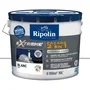 Ripolin Extreme Facade 2 en 1 - Peinture de Protection Extrême pour Façade Blanche Mat - Sous-couche et Finition en 1 Produit - 10 L