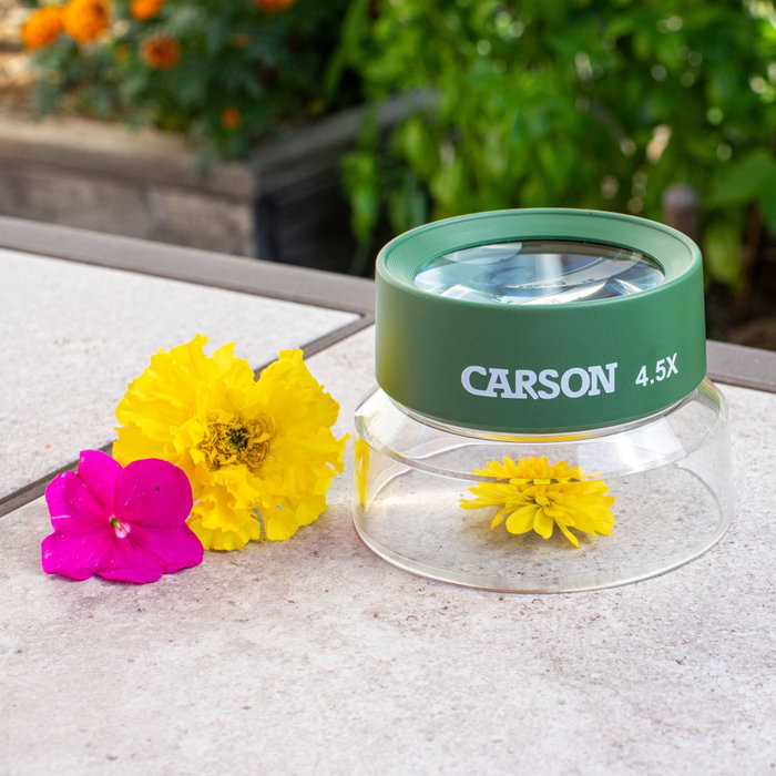 Carson HU-55 BugLoupe Loupe autoportante pour enfants