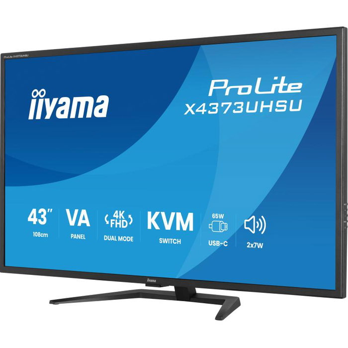iiyama ProLite X4373UHSU-B2 43 pouces UHD USB-C Black