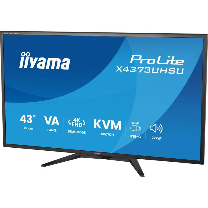 iiyama ProLite X4373UHSU-B2 43 pouces UHD USB-C Black