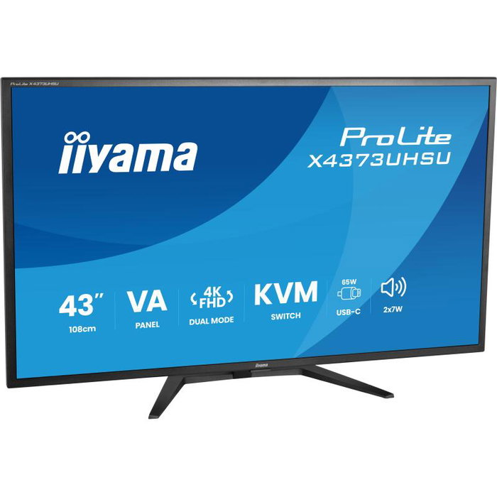iiyama ProLite X4373UHSU-B2 43 pouces UHD USB-C Black
