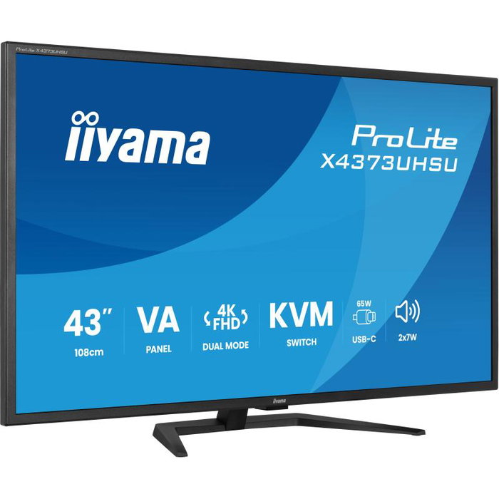 iiyama ProLite X4373UHSU-B2 43 pouces UHD USB-C Black