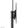 Neomounts FL50-550BL1 Support mobile au sol pour écran plat TV 37-70" jusqu'à 50 kg, avec tablette multimédia, support caméra, roulettes et gestion de câbles - Noir