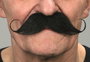 My Other Me Bigote noir - Moustache postiche adulte multilingue (français, espagnol, anglais...) - Taille unique - Multicolore