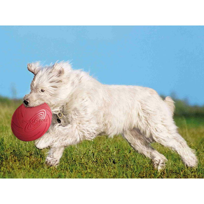 Frisbee Trixie Caoutchouc Ø 24 cm
