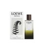 Loewe Elixir Essence EDP Vaporisateur 100 ml Homme