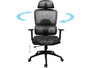 Sandberg ErgoFusion Gaming Chair Pro - Fauteuil de bureau et gaming ergonomique avec dossier en mesh, réglable en hauteur, inclinaison et accoudoirs