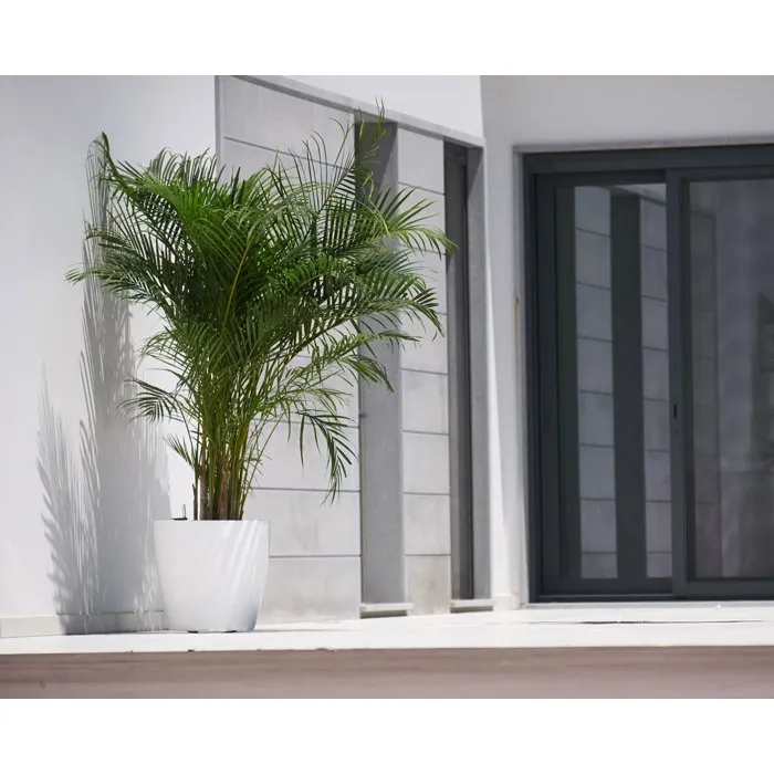 ARTEVASI San Remo SWS 36 BR - Pot de fleurs avec pieds pour intérieur et extérieur - Plastique résistant aux UV - Ø36 x H33,5 cm, 25 L - Gris anthracite