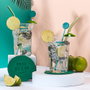 Cook Concept Coffret de bar Mojito 10 pièces Dolce Vita