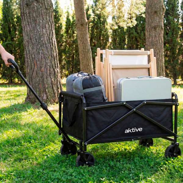 Color Baby Aktive-Carro Chariot de Transport Plage/Camping 58X35X86Cm