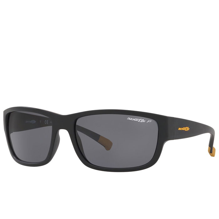 Arnette BUSHWICK AN4256 Lunettes de soleil Noir Gris Polar Homme