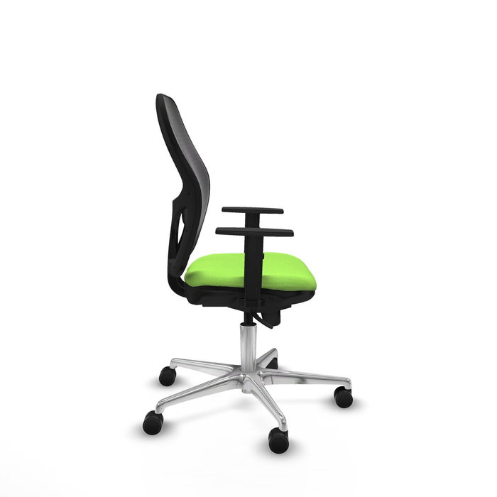 Piqueras y Crespo Chaise de Bureau 1D086N0 Pistache